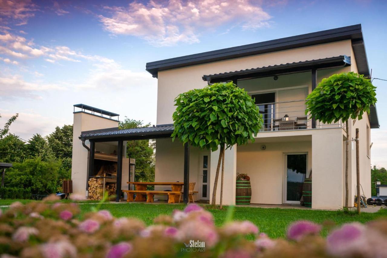Kuce Za Odmor -Japin Breg Villa Ðurđevac Bagian luar foto